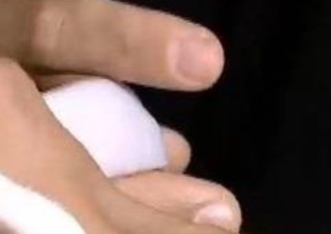 Cobra albina rara com veneno mortal é encontrada em casa