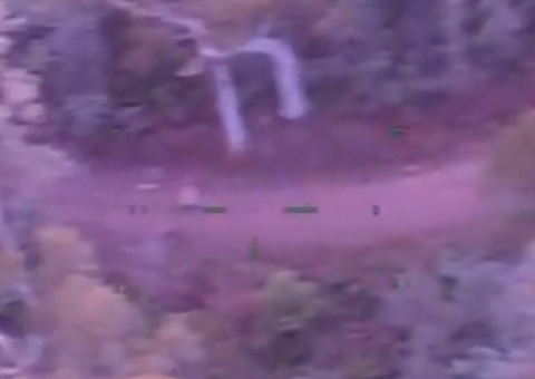 Mulher sobrevive por 5 dias em floresta consumindo doces e vinho