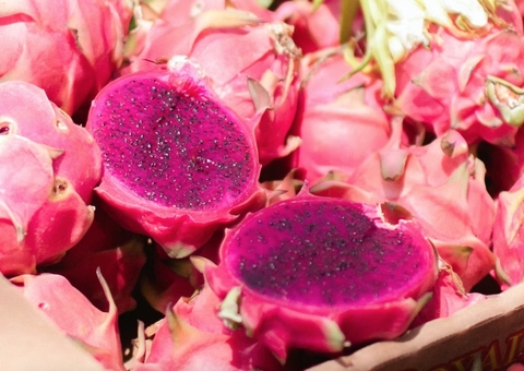 'Manaus mais Agro' incentiva produção da Pitaya em comunidades rurais 