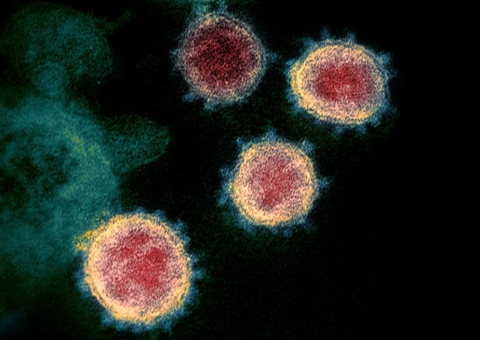 Cientistas brasileiros criam remédio que destrói vírus da covid no nariz