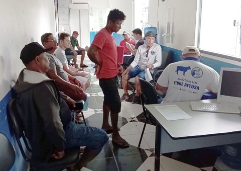 Prazo de notificação da vacinação contra febre aftosa é prorrogado no Amazonas