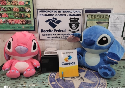 Receita encontra bonecos de pelúcia recheados de cocaína em encomenda nos Correios em Manaus