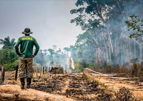 Desmatamento cai 36% na Amazônia; Amazonas é 2º estado com mais áreas derrubadas