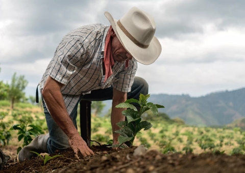 Agricultor é aposentado após não conseguir trabalhar por dores na coluna