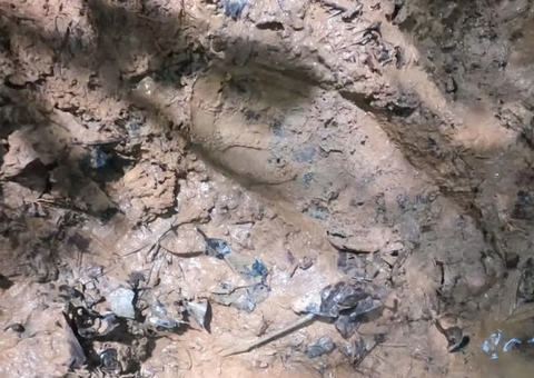 Militares afirmam ter encontrado pegada de uma das crianças desaparecidas em queda de avião