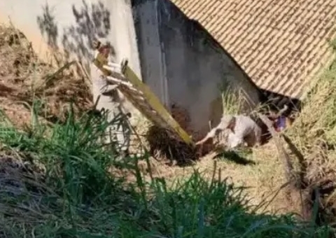 Jovem desaparecida é encontrada após ficar 36 horas presa em buraco