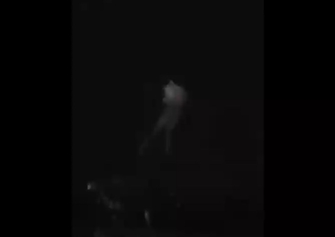 Vídeo mostra desaparecimento de jovem em mar repleto de tubarões