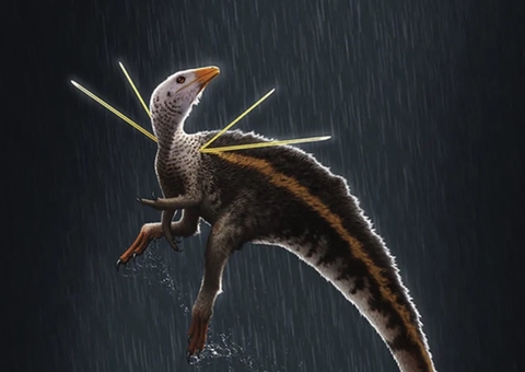 Fóssil de dinossauro traficado para Alemanha chega ao Brasil neste domingo