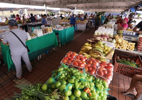 Feira da ADS será reinaugurada hoje na Praça do Dom Pedro