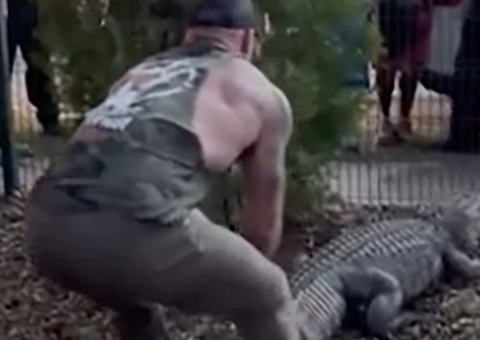 Lutador de MMA captura crocodilo de 3 metros perto de escola infantil; vídeo