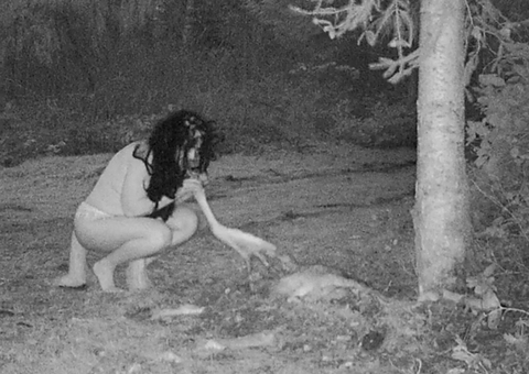 Câmeras flagram mulheres comendo carcaça de veado em suposto ritual satânico