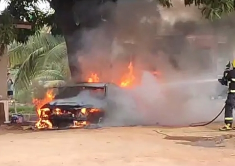 Vídeo: Homem tenta matar abelha em casa e coloca fogo em BMW