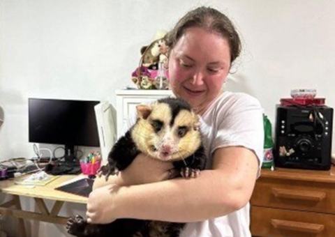 Gambá ‘Emílio’ é recolhido pela Polícia Ambiental no RS; animal tinha 150 mil seguidores