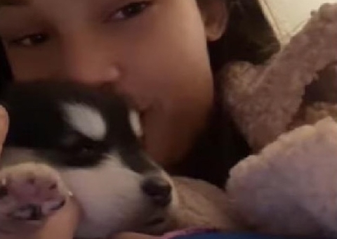 Influenciadora denuncia golpe ao comprar cachorro e receber lobo