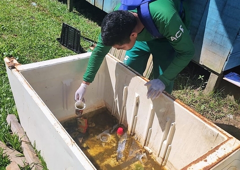 Dengue: levantamento mostra porcentagem de risco em 43 municípios do Amazonas