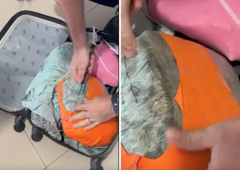 Passageiro tenta viajar com drogas para o Amazonas e é preso em rodoviária de Roraima