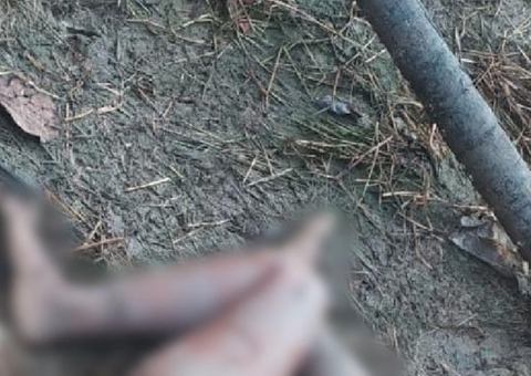 Mulher encontrada seminua e com olhos arrancados é identificada no Amazonas