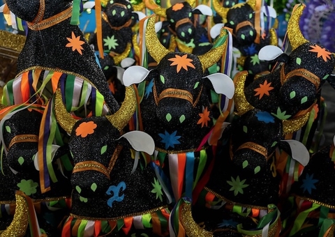 Boi Caprichoso entra na fase final de trabalho e promete surpresas na arena