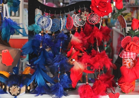 Ibama alerta sobre vendas de artesanatos com partes de animais silvestres no Amazonas