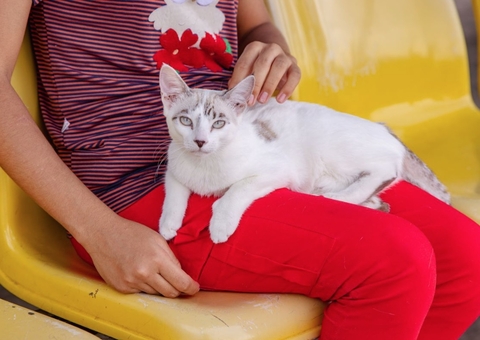 Vacinação antirrábica chega à zona rural de Manaus