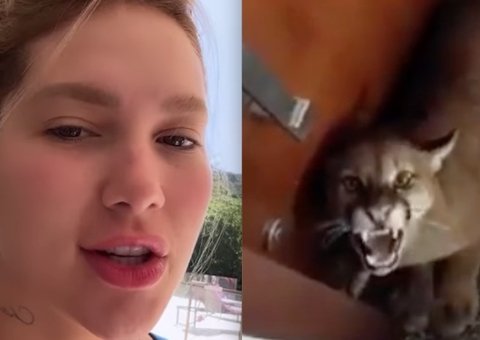 Onça invade condomínio de luxo onde moram Virgínia e Zé Felipe em Goiânia 