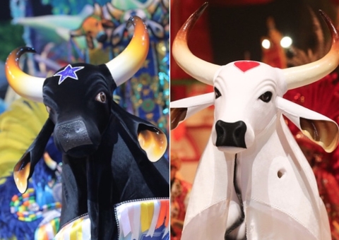 Apuração revela nesta segunda o campeão do 56º Festival de Parintins