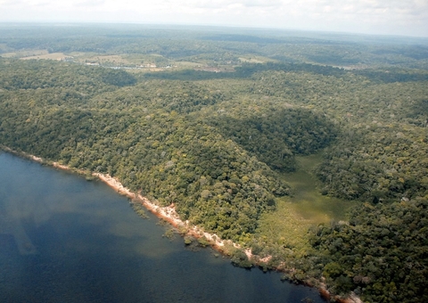 Desmatamento reduz 55% no Amazonas no 1º semestre de 2023, aponta Inpe