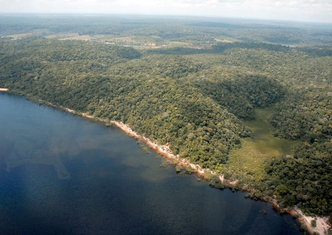 Desmatamento tem queda de 55% no Amazonas em 2023