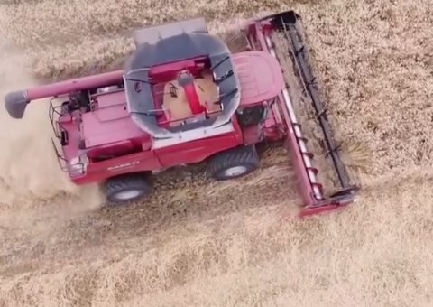 Rússia suspende acordo de exportação de grãos da Ucrânia e preços devem aumentar