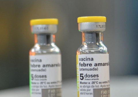 Certificado de vacinação da febre amarela passa a ser emitido apenas pelo ConecteSUS no Amazonas