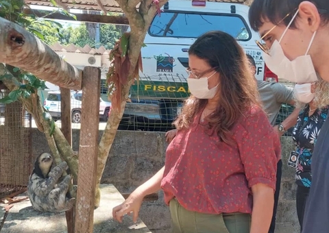 Deputado Amom Mandel visita sede do Ibama no Amazonas