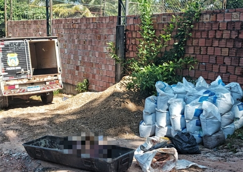 Em 24h, segundo corpo decapitado é encontrado em Manaus