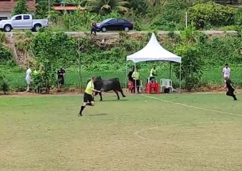 Touro invade campo e provoca correria em jogo; veja vídeo