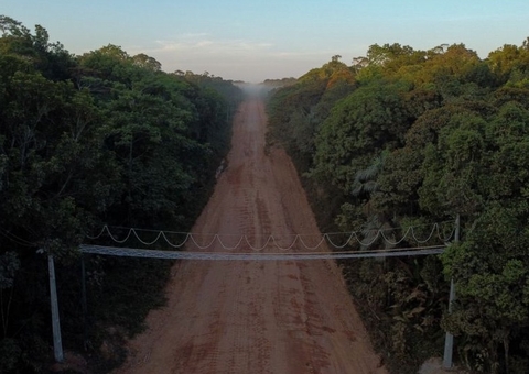 Ponte suspensa para travessia de animais é instalada na BR-319, no Amazonas