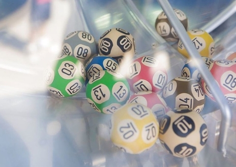 Confira resultados dos concursos 6204 da Quina e 2878 da Lotofácil