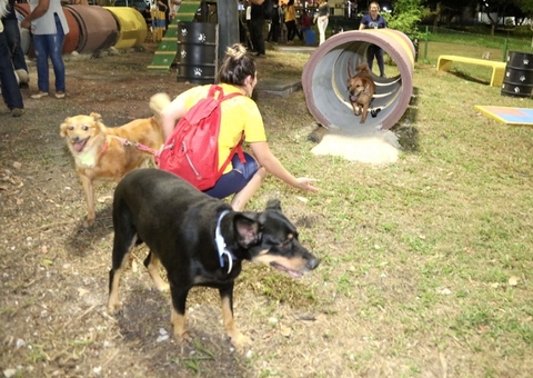 Passa a valer lei que determina uso de focinheiras para cães em parques de Manaus