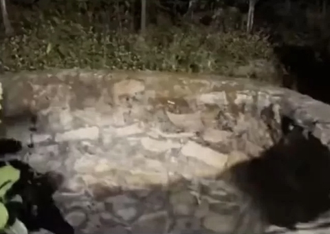 Bebê de 2 meses morre após ser jogada em cacimba por vizinho incomodado com choro