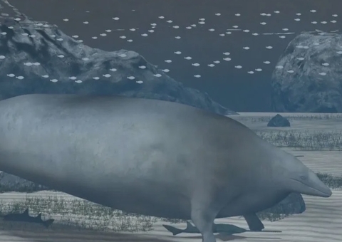 Pesquisadores encontram fóssil de baleia com até 340 toneladas; animal mais pesado da história