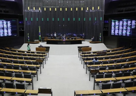 Câmara aprova PL que prevê pena de até 6 anos de prisão por crime de zoofilia