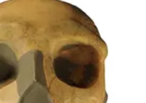 Cientistas descobrem crânio humano de 300 mil anos diferente de todos os achados