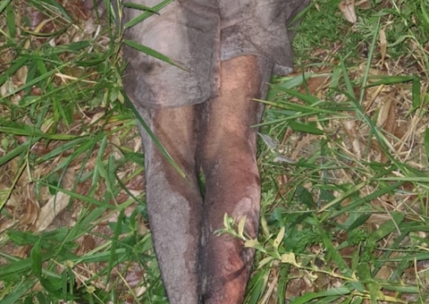 Homem é espancado até a morte no Tarumã, em Manaus 