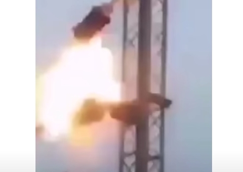 Cobra tenta comer pássaros em fiação elétrica e morre em explosão