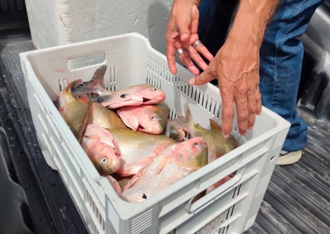 Amazonas registra 114 casos da doença da urina preta em 10 municípios