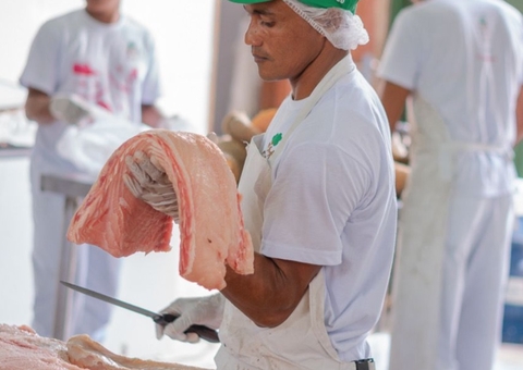 Feira do Pirarucu acontece neste fim de semana em Manaus com quilo do pescado de até R$ 30