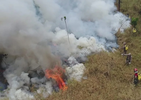 Queimadas no Amazonas levam dois municípios a decretarem situação de emergência