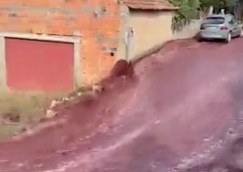 Vídeo: 'Rio de vinho' toma ruas em Portugal após depósito estourar