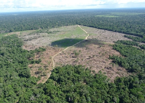 AGU cobra R$ 292 milhões de pecuarista por desmatamento no Amazonas