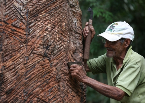 Vamos turistar no Museu do Seringal? Uma História de Resiliência
