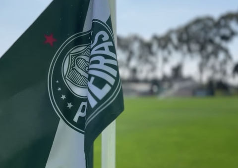 Palmeiras vê distância para o Botafogo cair e volta a sonhar com Brasileiro