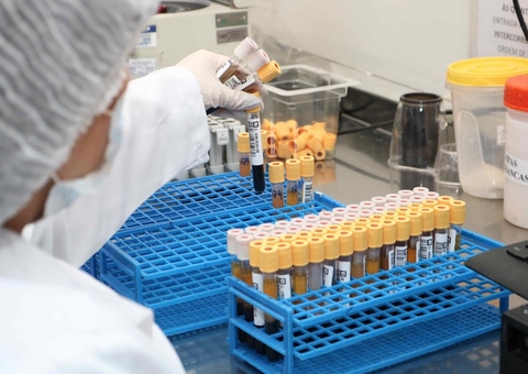 Hemoam conquista 100% de satisfação em avaliação hemoterápica do Ministério da Saúde